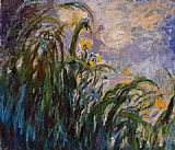 Les iris jaunes 1824 by Claude Monet
